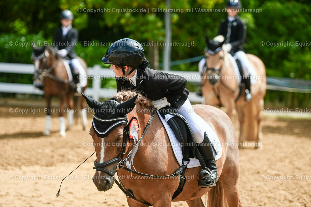 20230716_10-3_Reiter-WB Schritt - Trab - Galopp_0212 | equistock