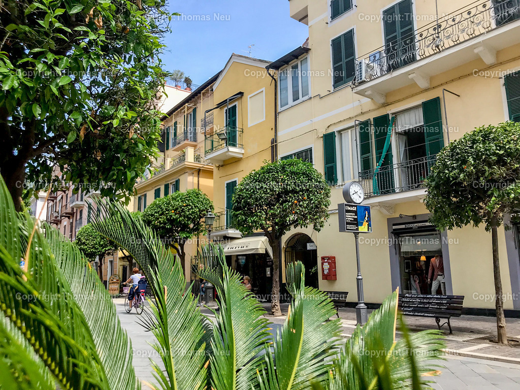 94CB680A-7BB5-4F66-90CF-2FFB342FCC01 | ,, Bild: Thomas Neu