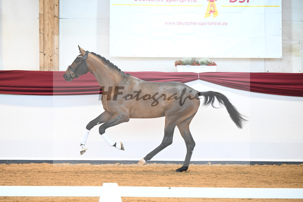 Kat-Nr. 10 v. Bonds_Klenk u Schneider-Gaertner_66221741 | hf-fotografie - Realisiert mit Pictrs.com