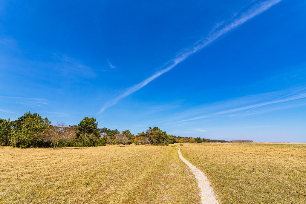 Landschaft  auf dem Gellen auf der Insel Hiddensee | Landschaft  auf dem Gellen auf der Insel Hiddensee.