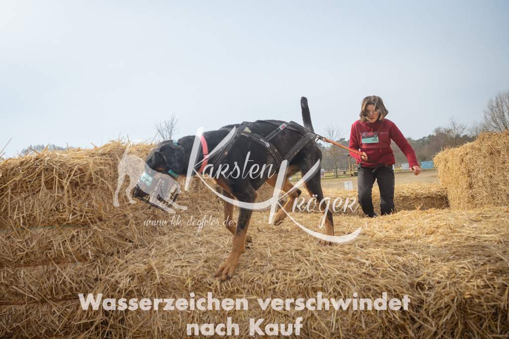 1021_ZZ94567 | kk-dogfotos