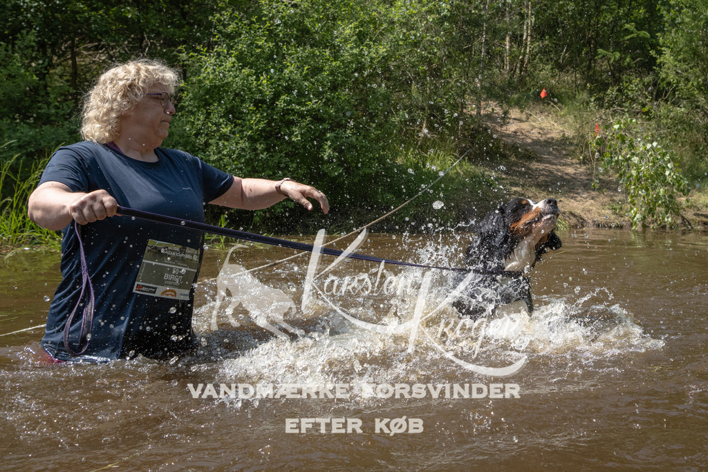 1426DKK990404 | kk-dogfotos