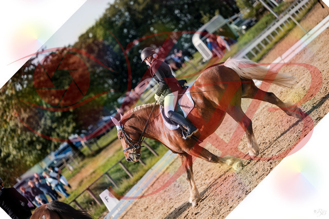 2026_10_03_Siefer-Hof_130515_Z63_68689068 | Professionelle Reitsport-, Turnier- und Eventfotografie von Robert Broda. Galerien mit ausgewählten und bearbeiteten Bildern direkt online ansehen und bestellen.