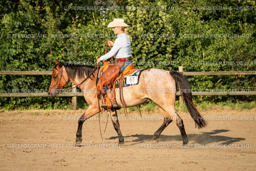 DSC06231 | Pferdegrafie