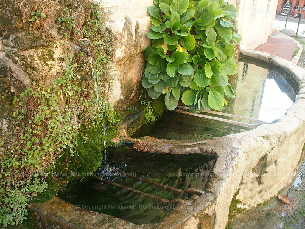 PA272094 | photograph1 - Realisiert mit Pictrs.com