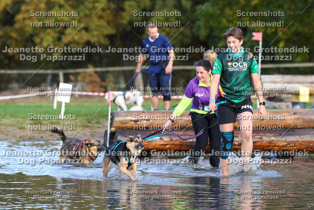 Dog Paparazzi - Strongdog 10-25-8280 | Dog Paparazzi Jeanette Grottendiek Fotografie & Videografie - Realisiert mit Pictrs.com