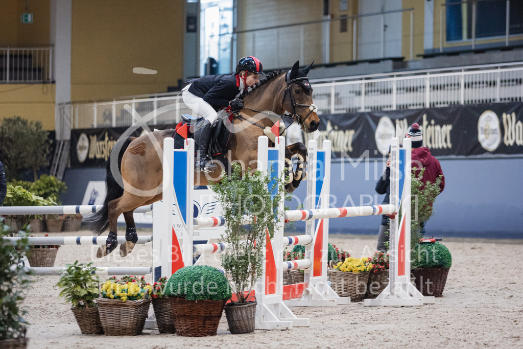 230210_Warstein_Stil-L-181 | Deine schönsten Turniermomente als professionelle Fotos! Entdecke hochwertige Pferdesport-Fotografie im Online-Shop. Jetzt Fotos finden & bestellen!