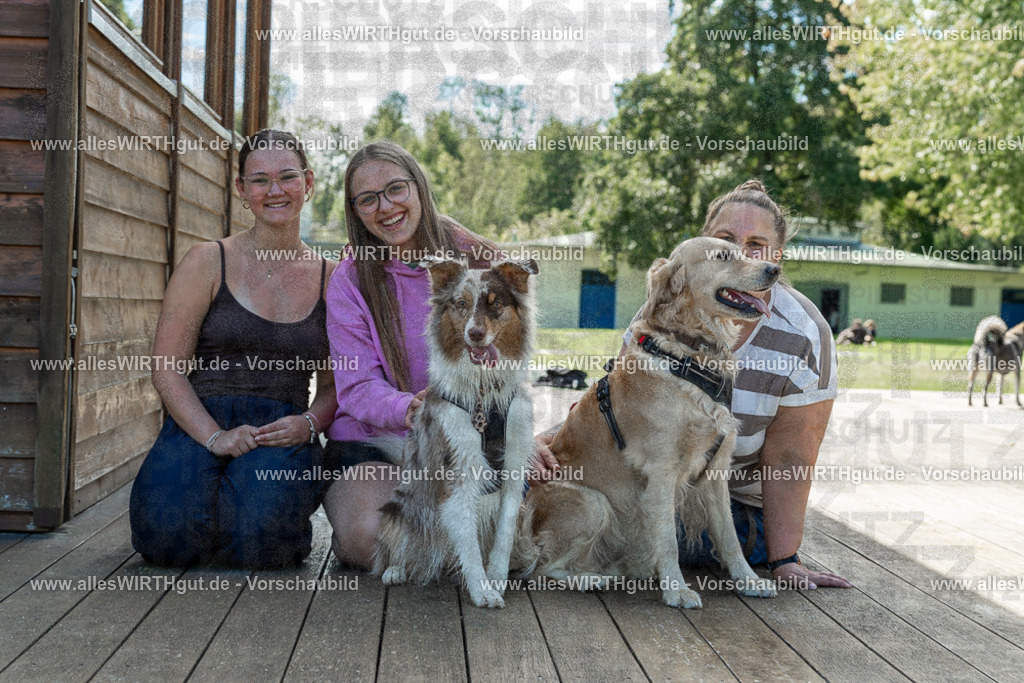 Hundeschwimmen_Volksbad_2026-allesWIRTHgut_Tierfotografie-2609061421-7R501051 | Professionelle Tierfotografie in Mönchengladbach von Daniel Wirth (allesWIRTHgut). Liebevolle & natürliche Bilder von Hunden & Katzen für unvergessliche Erinnerungen.