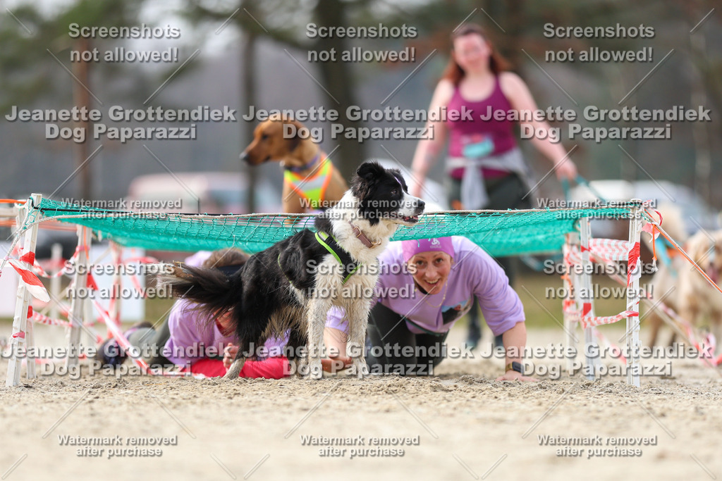 Dog Paparazzi - Strongdog North Mrz26-5252 | Dog Paparazzi Jeanette Grottendiek Fotografie & Videografie - Realisiert mit Pictrs.com