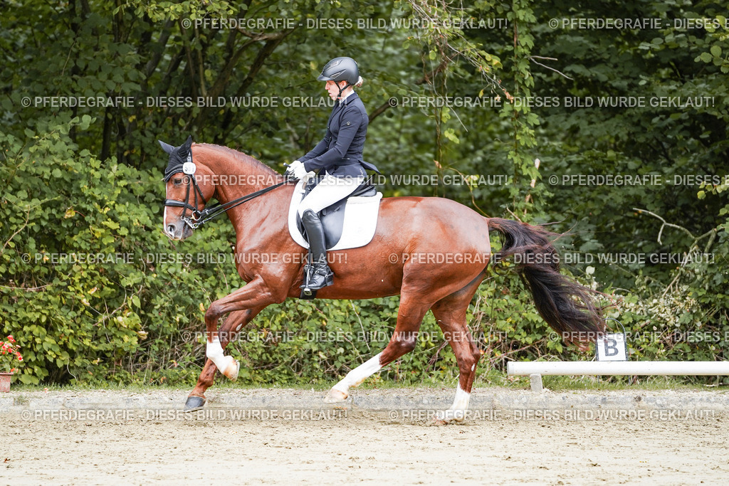 DSC04527 | Pferdegrafie