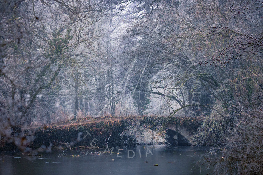 2025-01-21 Ludwigsburg Monrepos Nebel 005 | Schwotte Media - Realisiert mit Pictrs.com