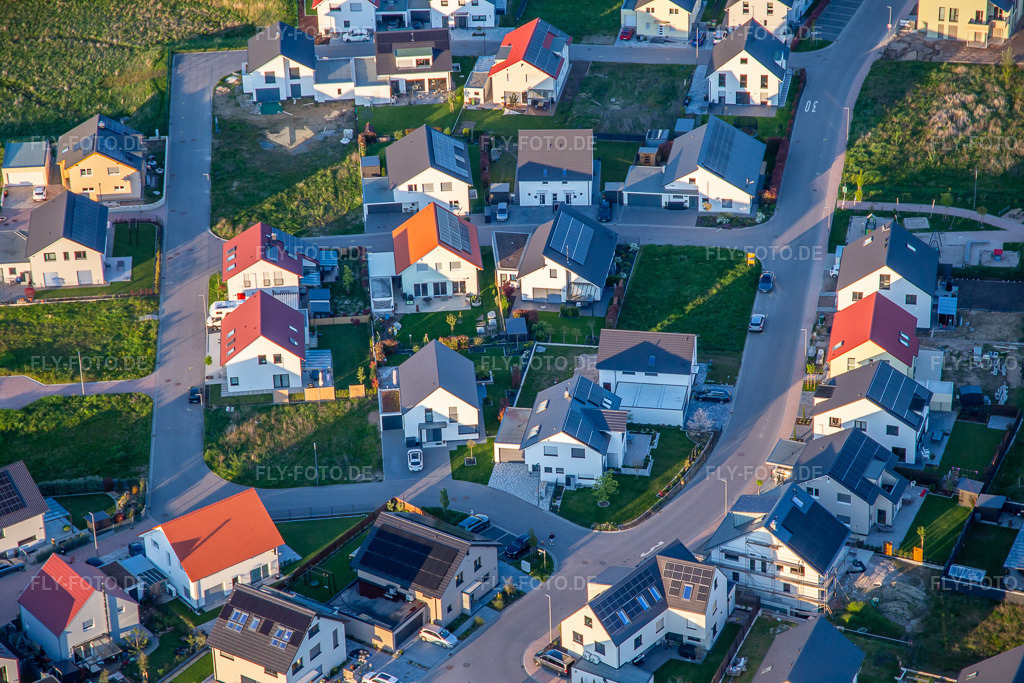 Luftbild: Narzissen- und Veilchenweg in Kandel im Bundesland Rheinland-Pfalz in Deutschland. Foto: IMG_140367.jpg vom 23.04.2024 durch Werner Riehm/FLY-FOTO.de