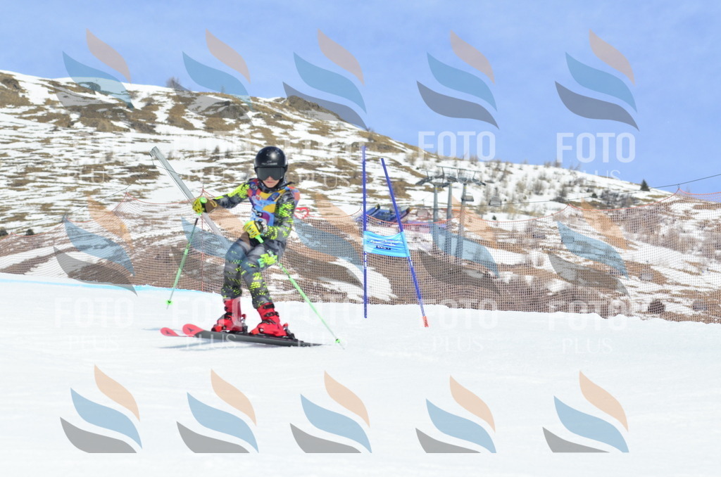 _ELE2446 | holidayphoto