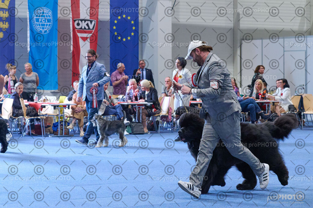 202406_ÖKV-IHA-Tulln24_DSC_4958 | proPHOTO - Realisiert mit Pictrs.com