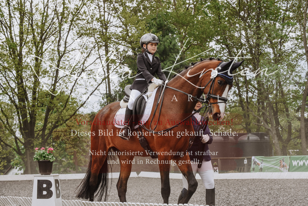 20230514_JK-Röhrsdorf-25-044 | Pferde- und Turnierfotografie in Westsachsen. Pferdeportraits, Auftragszeichnungen und intuitive Kunst.