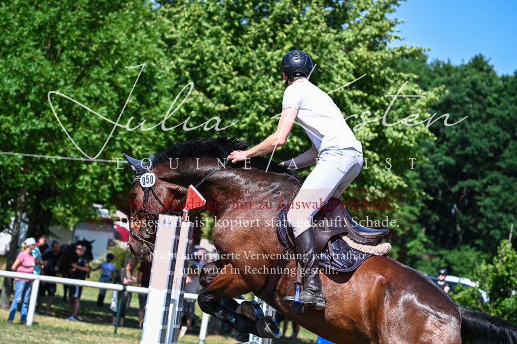DSC_1239 | Pferde- und Turnierfotografie in Westsachsen. Pferdeportraits, Auftragszeichnungen und intuitive Kunst.