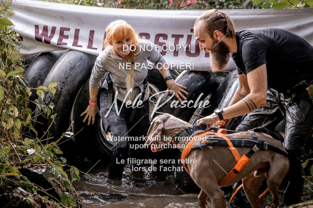 nelerasche_Hunsrück2026_Sa1400-1500_293 | nelerasche