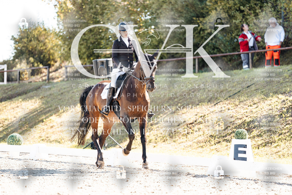 CK908738 | Turnierfotografie Pferdefotografie Trier Rheinland-Pfalz Pferdesport Reitsport Tierfotografie Sportfotografie Pferdevideo Pferdevideografie Equestrianvideography equestrianphotography  - Realisiert mit Pictrs.com