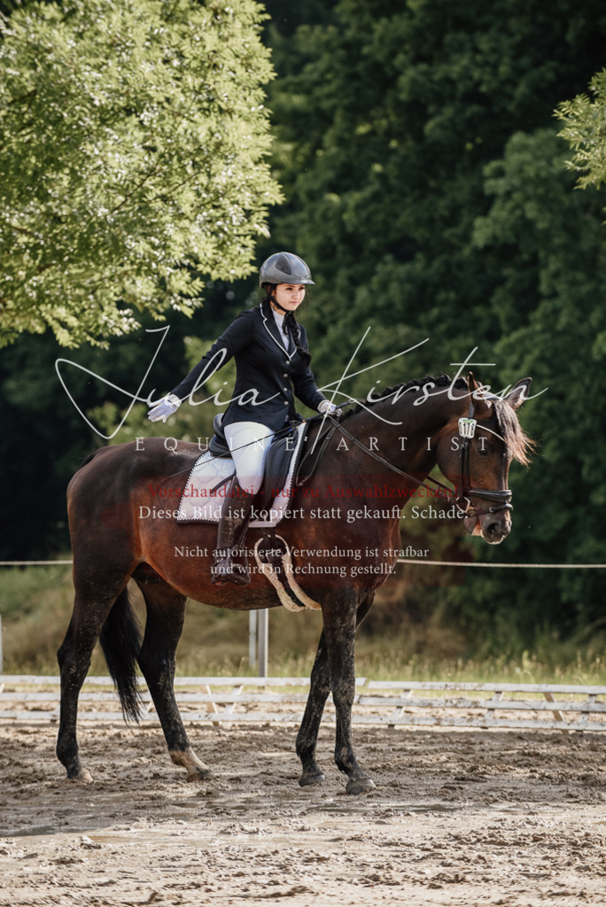 DSC_8589 | Pferde- und Turnierfotografie in Westsachsen. Pferdeportraits, Auftragszeichnungen und intuitive Kunst.