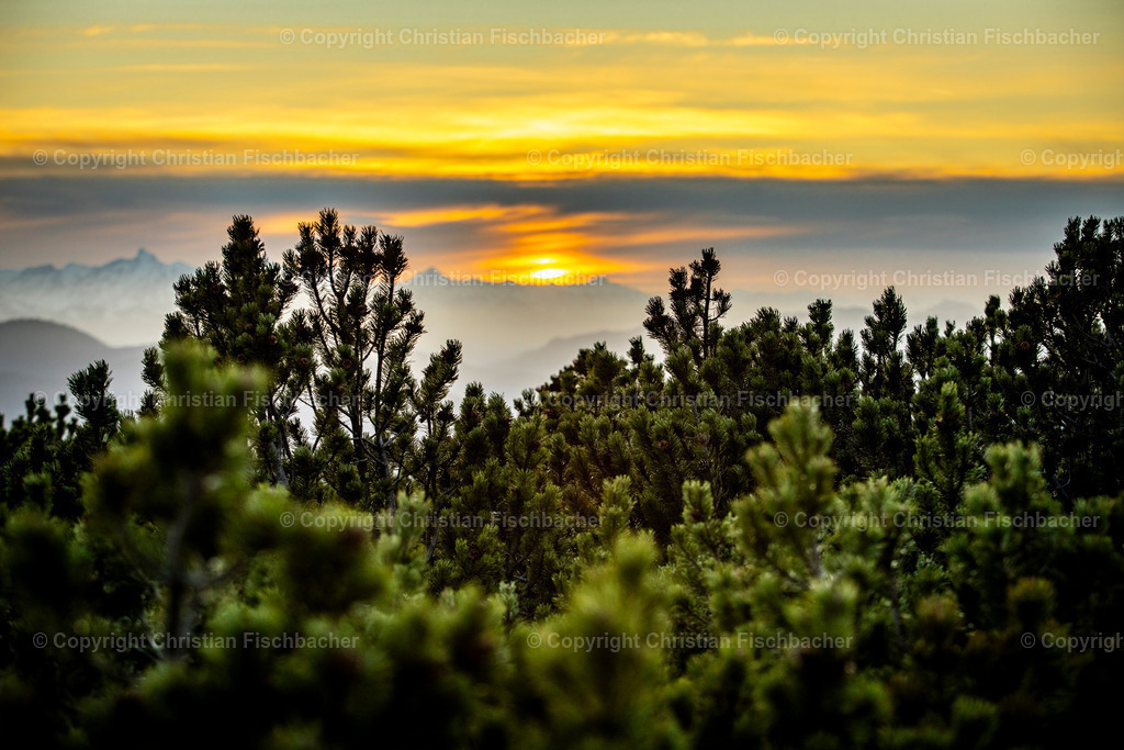 Fotos_Copyright_Chri_Fischbacher_Druck-440 | Bildershop Chri Fischbacher - Realisiert mit Pictrs.com