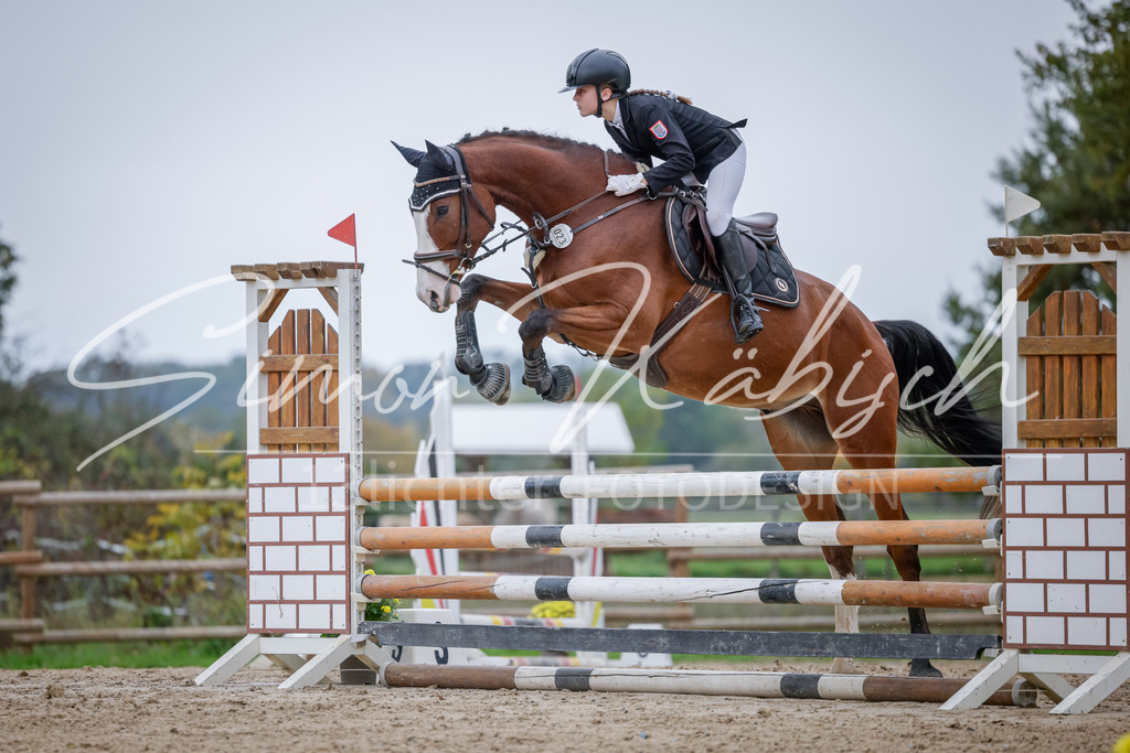 20251012-_3LI3919 | Tierfotografie Pferde, Hunde, Katzen, Haustiere.
Turnierfotografie Reitturniere, Reiten, Springreiten, Dressur in Hanau, dem Main-Kinzig-Kreis und dem Rhein-Main- Gebiet um Frankfurt