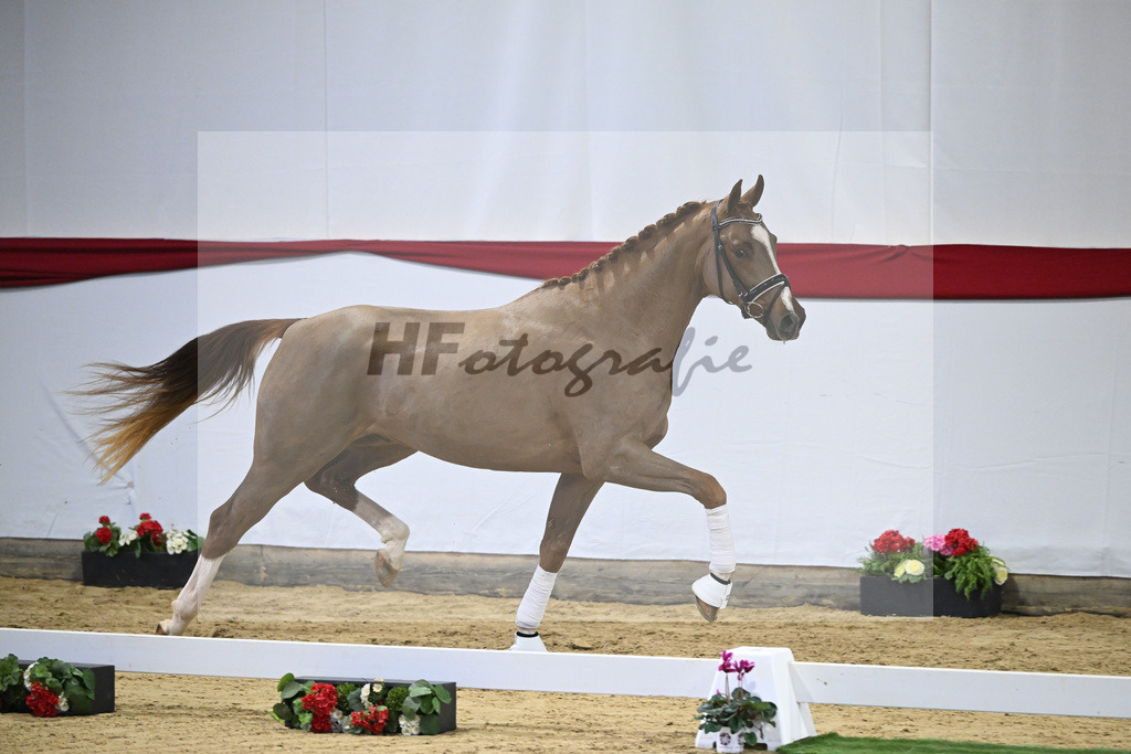 Kat-Nr. 48 v. Danone I_Mueller_63221240 | hf-fotografie - Realisiert mit Pictrs.com