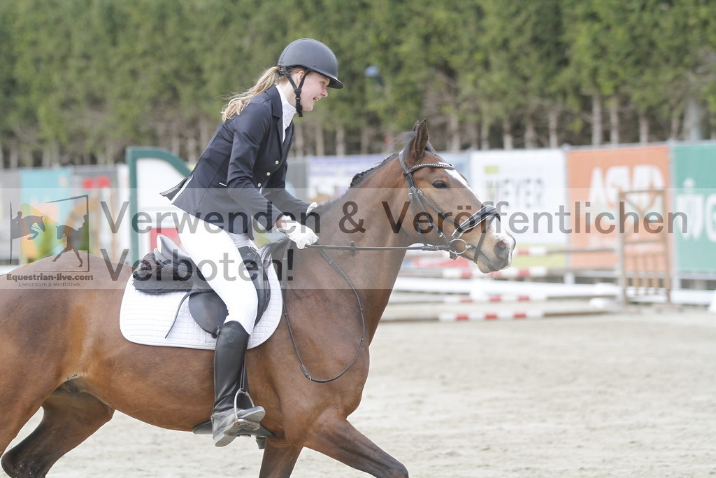 _MG_5295 | equestrian-live-com