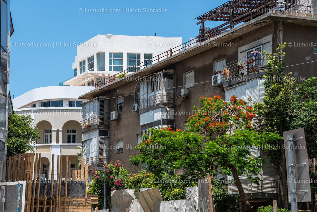 10972-10153 - Tel Aviv - Rothschild Boulevard | Stockfoto und Bilderpool mit Bildmaterial aus Deutschland, dem Harz, Halberstadt, Quedlinburg, Wernigerode und weltweit. Qualitativ hochwertige und professionelle Fotos anschauen und kaufen. - Realisiert mit Pictrs.com