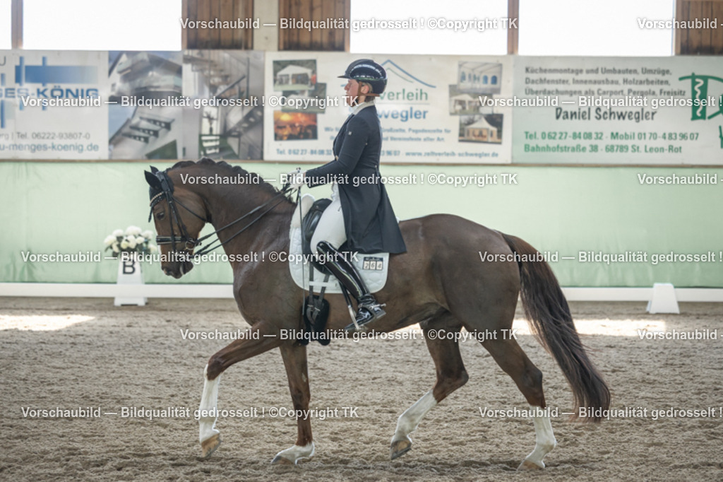 _D5A9381 | Emotionale Pferde- & People-Fotografie rund um Heidelberg, Leimen & Umgebung. Natürliche Fotos von Pferd, Mensch & Familie. Jetzt Termin sichern!