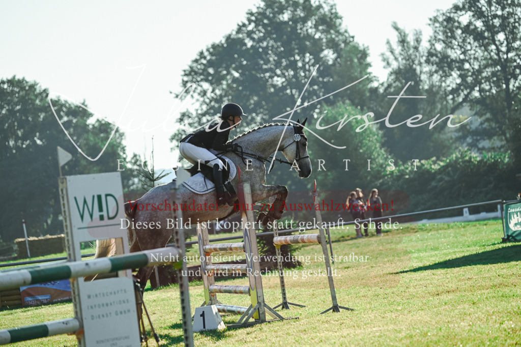 DSC_4235 | Pferde- und Turnierfotografie in Westsachsen. Pferdeportraits, Auftragszeichnungen und intuitive Kunst.