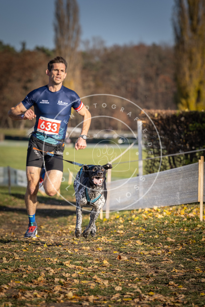 CaniXpix_DV3A0172 | Hundefotografie, Tierfotograf, Pfotenfotografie, Fotoshooting Hund, Hunde Portrait, Hundesport, Hundeportraits, Heideshooting, Hunde, Sportfotograf, Hundefotograf, Turnierhundsport, THS,  - Realisiert mit Pictrs.com