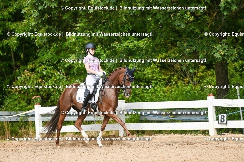 20230716_01_Dressurprüfung Kl.M_0380 | equistock
