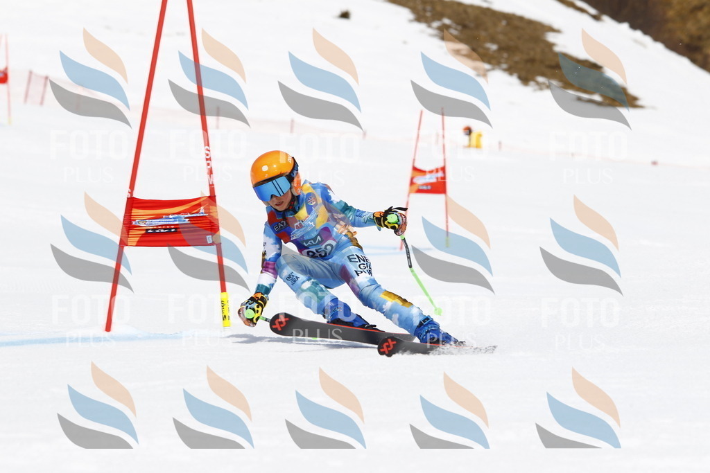 _U3G6345 | holidayphoto