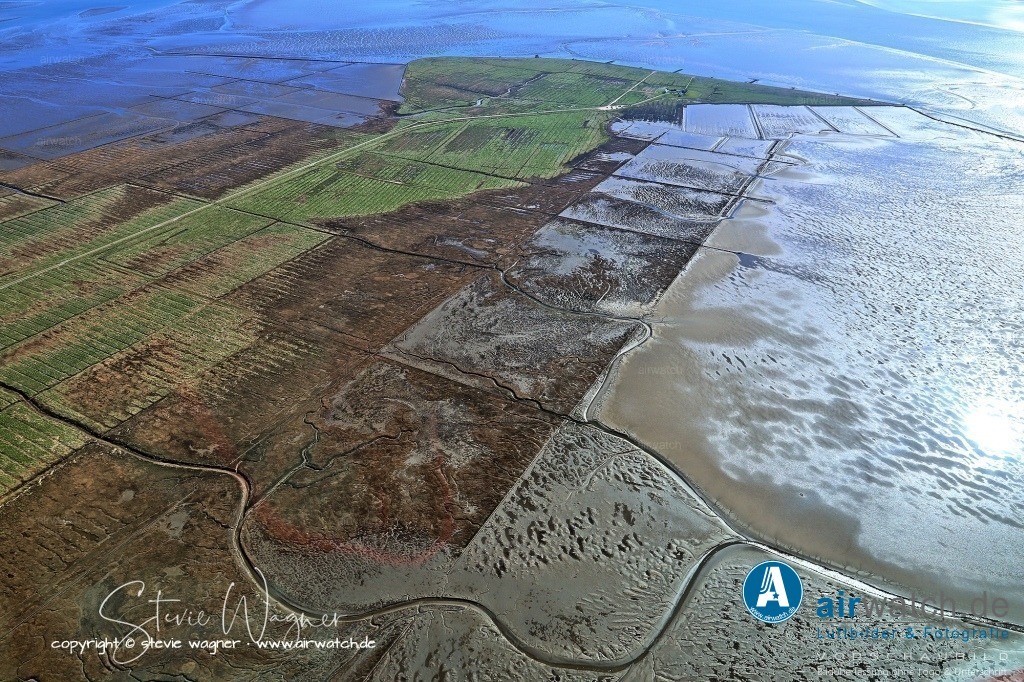 Luftbild Hamburger Hallig im nordfriesischen Wattenmeer | Die Hallig ist auch ein Vogelparadies, in dem im Frühjahr und Herbst bis zu 30.000 Weißwangengänse rasten und im Sommer die Salzwiesen von Strandastern blau gefärbt werden.