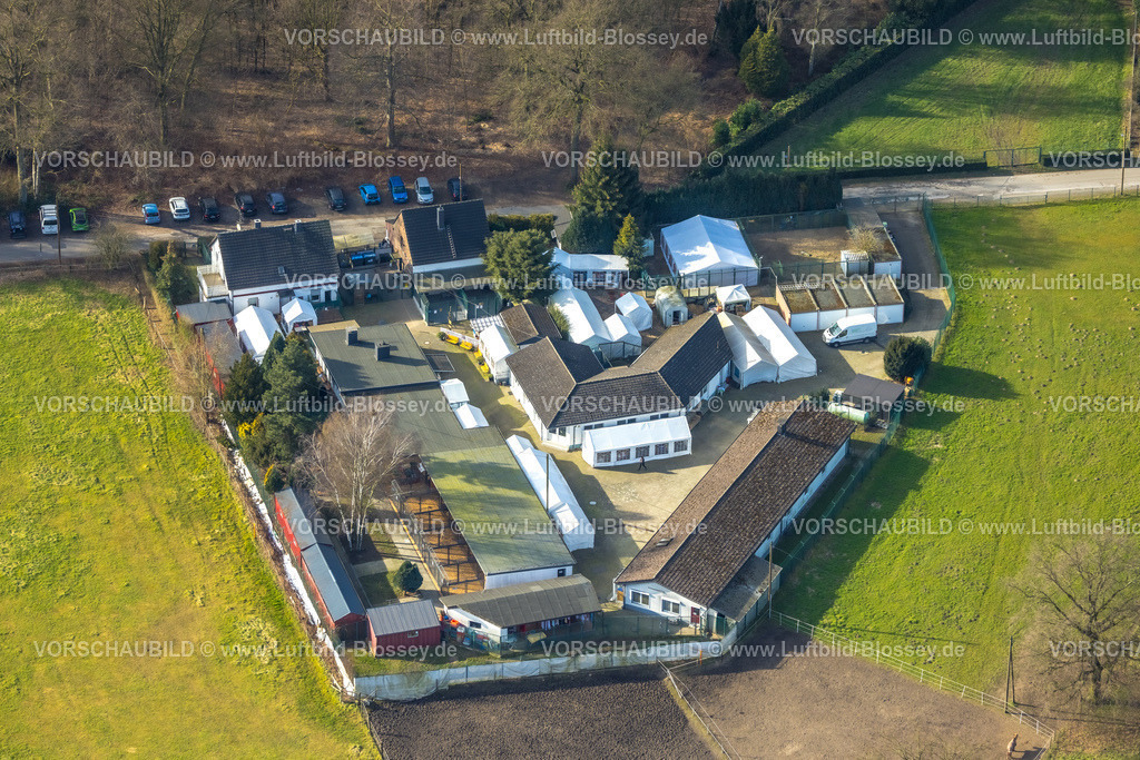 Bottrop250202290Mitte | Luftbild, Tierheim Tierfreunde Bottrop e.V. im Deutschen Tierschutzbund, Häuser und weiße Zelte, Stadtwald, Bottrop, Ruhrgebiet, Nordrhein-Westfalen, Deutschland