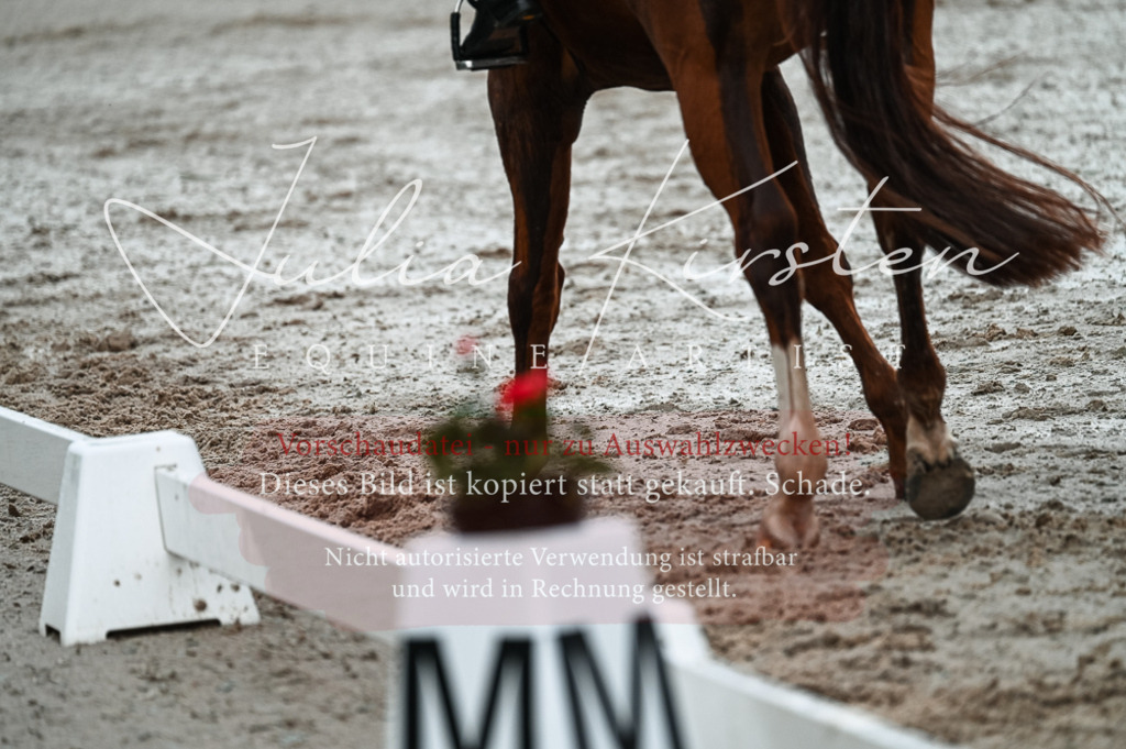 DSC_4245 | Pferde- und Turnierfotografie in Westsachsen. Pferdeportraits, Auftragszeichnungen und intuitive Kunst.