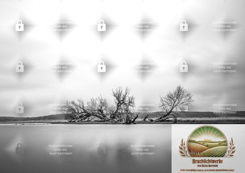 Langzeit Reene | Professioneller Fotograf mit 10 Jahren Erfahrung. Landschafts- und Hochzeitsfotografie im Oderbruch. Workshops und beeindruckende Bilder für besondere Momente.