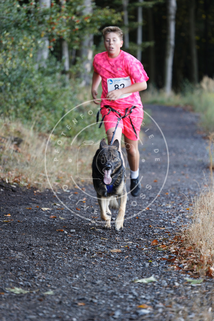 0L8A2097 | Hundefotografie, Tierfotograf, Pfotenfotografie, Fotoshooting Hund, Hunde Portrait, Hundesport, Hundeportraits, Heideshooting, Hunde, Sportfotograf, Hundefotograf, Turnierhundsport, THS,  - Realisiert mit Pictrs.com