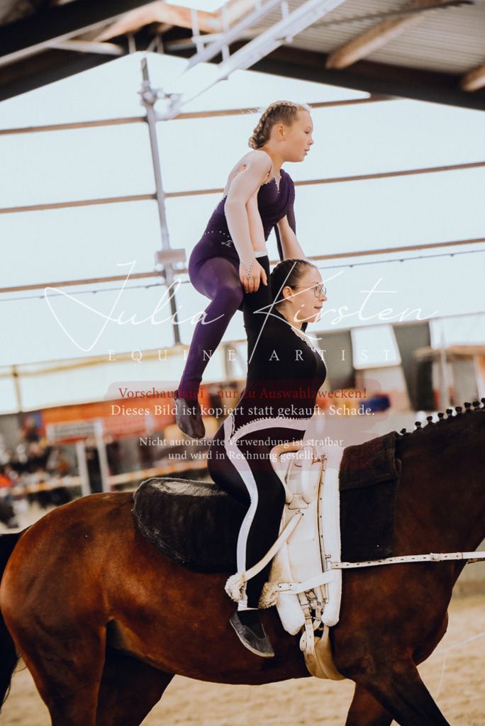 DSC_6896 | Pferde- und Turnierfotografie in Westsachsen. Pferdeportraits, Auftragszeichnungen und intuitive Kunst.