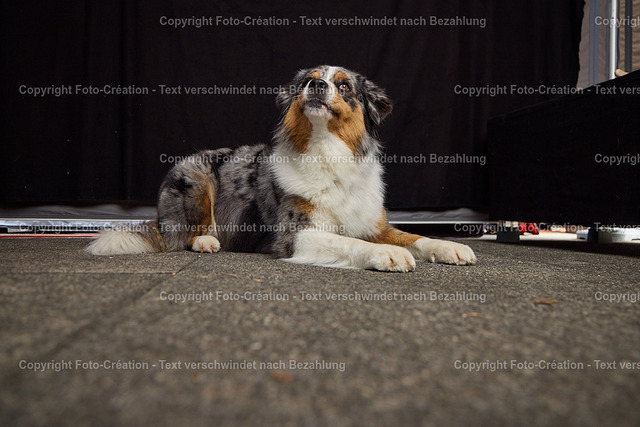 30.08.25 HSW Luzern Samstag0785 | foto-création - Realisiert mit Pictrs.com