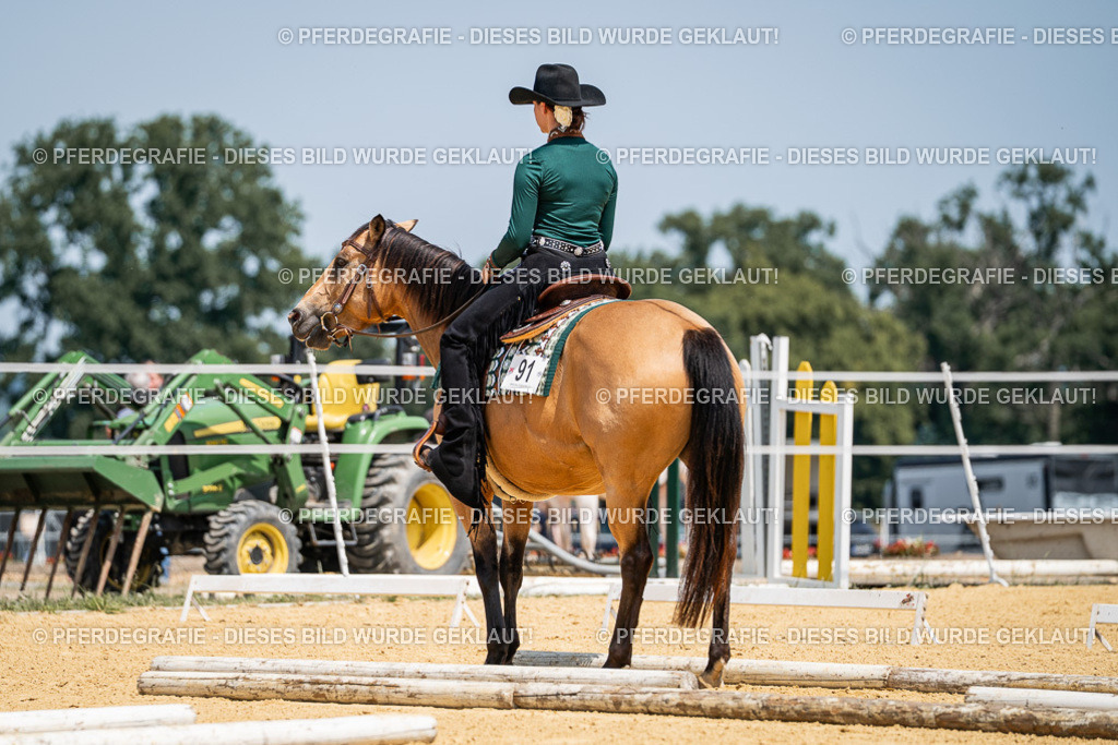 DSC01307 | Pferdegrafie