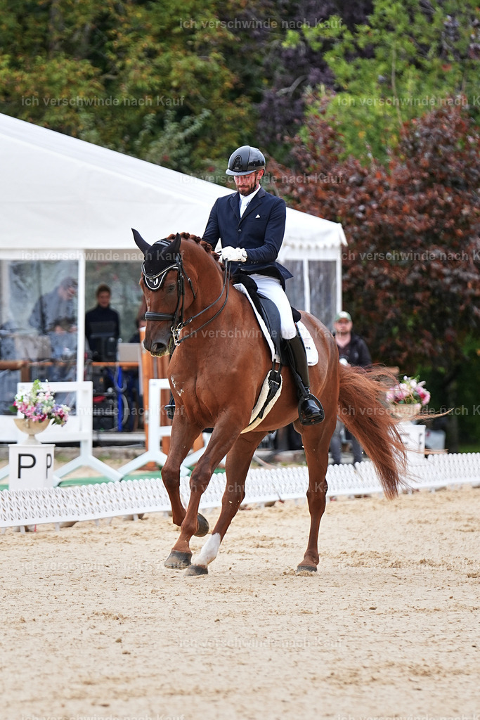 04_1-165-Dressur M__ -Marixx-2787 | working equitationturnier fotograf videograf stoibphotography marixx film working equitation deutschland reitsport turnierfotografie eventfotografie equestrian events