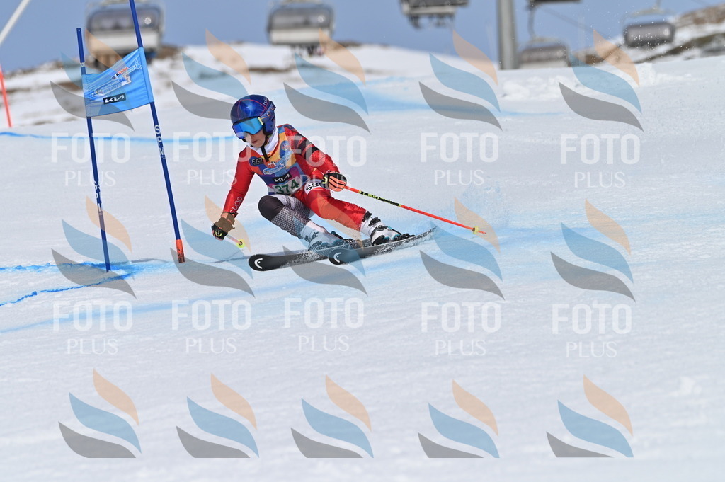 BGV_3399 | holidayphoto