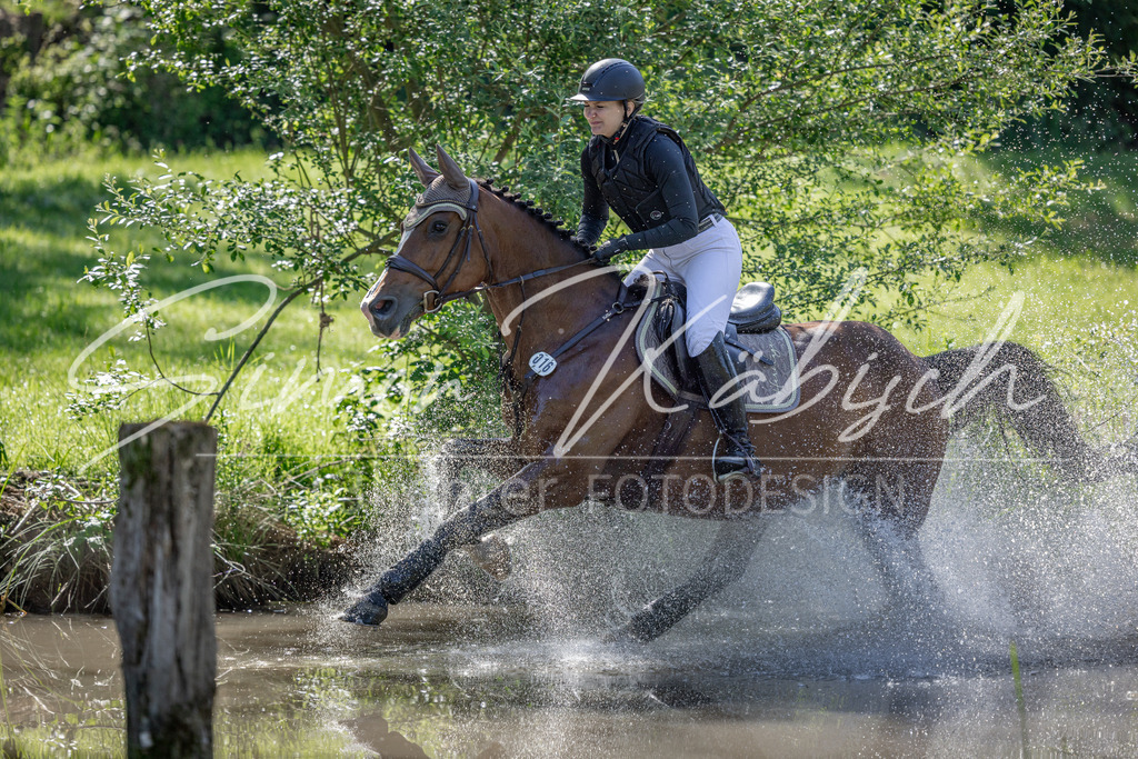 20260523-_3LI6857 | Tierfotografie Pferde, Hunde, Katzen, Haustiere.
Turnierfotografie Reitturniere, Reiten, Springreiten, Dressur in Hanau, dem Main-Kinzig-Kreis und dem Rhein-Main- Gebiet um Frankfurt