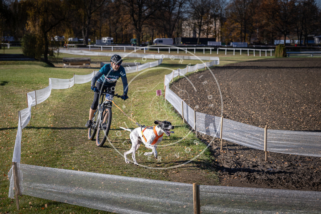 CaniXpix_DV3A6236 | Hundefotografie, Tierfotograf, Pfotenfotografie, Fotoshooting Hund, Hunde Portrait, Hundesport, Hundeportraits, Heideshooting, Hunde, Sportfotograf, Hundefotograf, Turnierhundsport, THS,  - Realisiert mit Pictrs.com