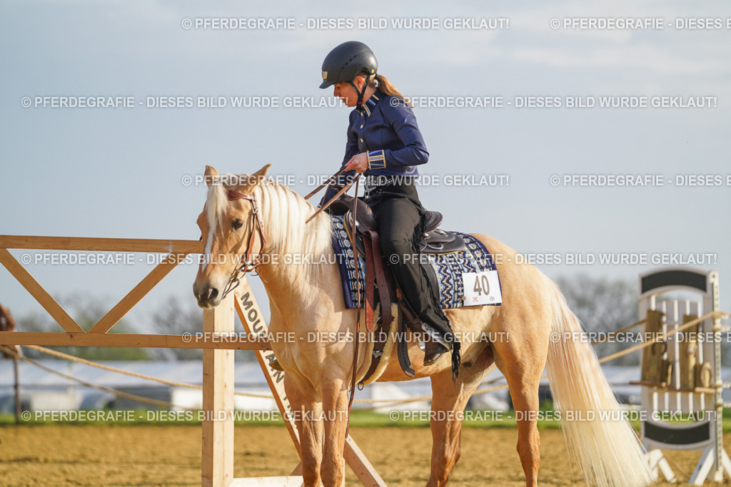 DSC00013 | Pferdegrafie