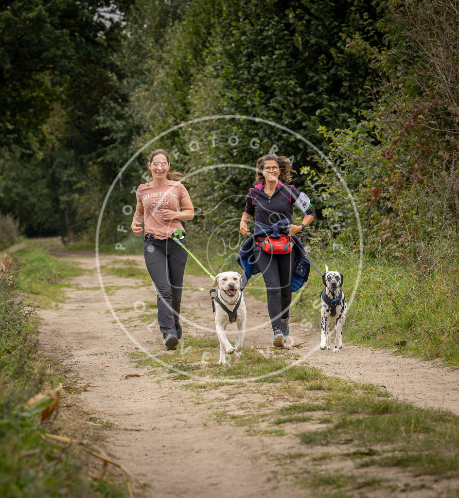 Pfotenfotografie_DV3A8373 | Hundefotografie, Tierfotograf, Pfotenfotografie, Fotoshooting Hund, Hunde Portrait, Hundesport, Hundeportraits, Heideshooting, Hunde, Sportfotograf, Hundefotograf, Turnierhundsport, THS,  - Realisiert mit Pictrs.com