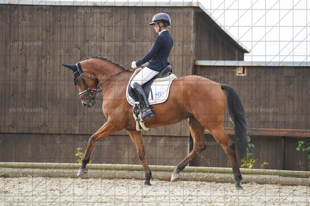 20230826-FAH04549 | Forstinning, 2023, Dressurturnier, Turniersportbilder, Turnierfotografen Bayern, Fotoagentur Herrmann, Reitsportfotografie, Turnierbilder
