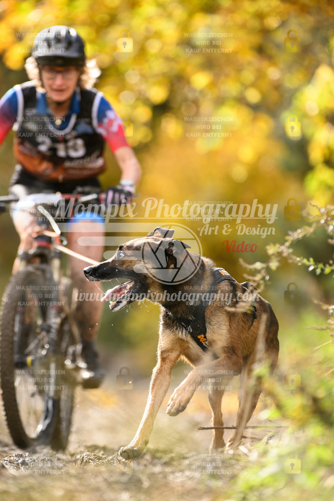 MompixPhotography_ICF_WC_2024_SA_Bike_-349 | PayLife