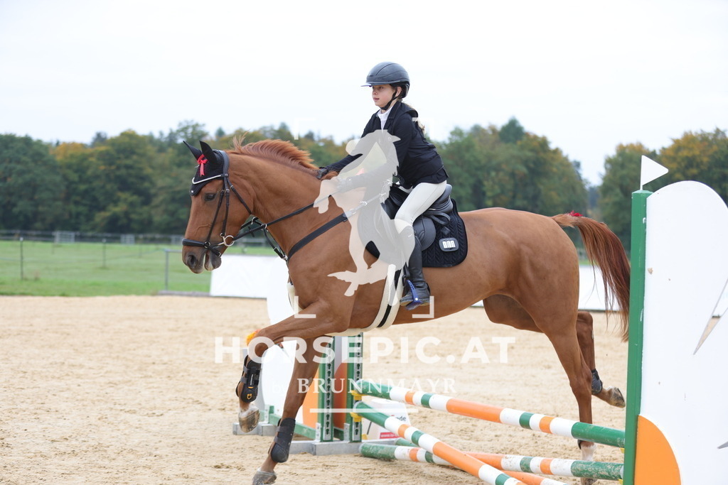 0P6A0889 | Willkommen bei Brunnmayr - Design & Fotografie – Ihrem Spezialisten für Reitturniere und Pferdeveranstaltungen in Oberösterreich, Salzburg und Bayern! Seit über 17 Jahren sind wir leidenschaftlich dabei.
